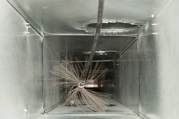 Air Duct Mold Removal in Pleasant View, TN